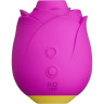 Бесконтактный клиторальный стимулятор WOMANIZER ROMP SUCTION ROSE розовый RP301SG4